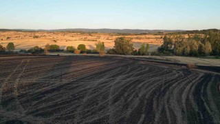 Tekirdağda 2 bin 500 dönüm ekili alan ve 200 adet arı kovanı yandı