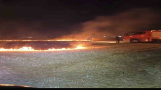 Tekirdağda alevler geceyi aydınlattı