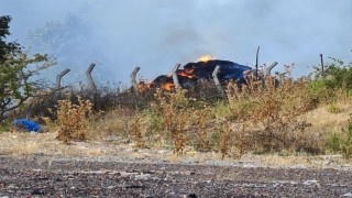 Tekirdağda anız yangını ormanlık alana sıçradı