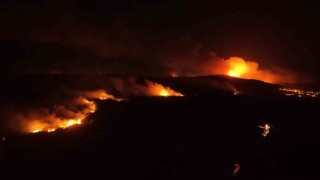 Tekirdağda birçok noktada çıkan orman yangını havadan görüntülendi