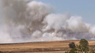 Tekirdağda çıkan anız yangını kontrol altına alındı