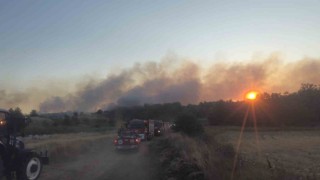 Tekirdağda eski kömür ocağı sahasında yangın