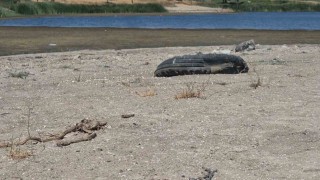 Tekirdağda gölette su seviyesi alarm veriyor