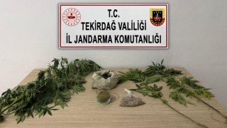Tekirdağda jandarmadan 6 ayrı uyuşturucu operasyonu