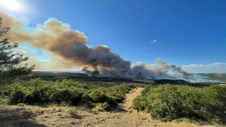 Tekirdağda orman yangını