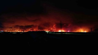 Tekirdağda orman yangını geceyi gündüze çevirdi