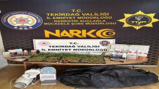 Tekirdağda uyuşturucu operasyonu: Esrar ve kenevir ele geçirildi