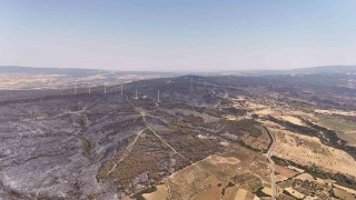 Tekirdağda yanan ormanlık alanlar havadan görüntülendi