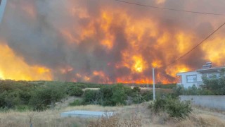 Tekirdağdaki orman yangını yerleşim alanlarını tehdit ediyor