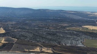 Tekirdağdaki orman yangınında Çanakkalede 119 futbol sahası büyüklüğünde alan yandı