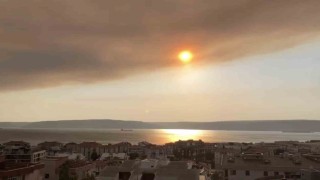 Tekirdağdaki orman yangınının dumanı Çanakkale Boğazını kapladı