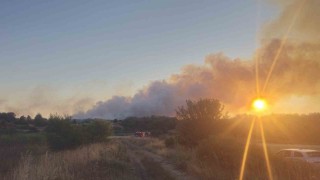 Tekirdağdaki yangın kontrol altına alındı