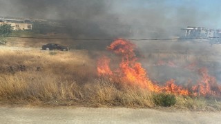 Temizlenmeyen kuru otlar yangına neden oldu