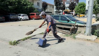 Temizlik işçisinin hayvan sevgisi takdir topladı