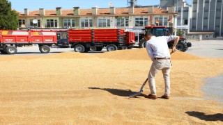 Ticaret borsasında yeni sezon başladı: İlk mahsuller satışa sunuldu