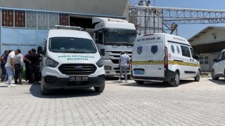 Tırdan boşaltılan yemlerin altında kalarak hayatını kaybetti