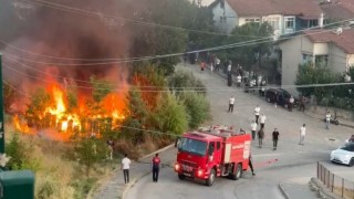 Tokatta arı kovanları küle döndü