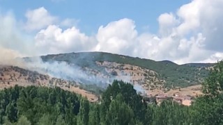 Tokattaki yangında alevler yerleşim alanına ulaşmadan söndürüldü