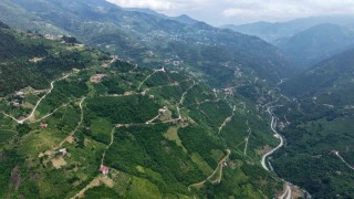 Trabzonun yol ağı, Washington gidiş-geliş mesafesini geride bıraktı