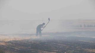 Trafodan çıkan yangında 50 dönüm tarım arazisi kül oldu