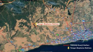 TREDAŞ: Yangın bölgesinde bize ait enerji hattı bulunmamaktadır