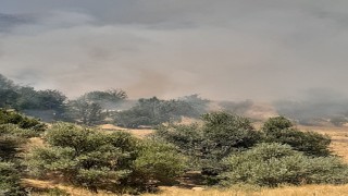 Tuncelide çıkan yangın büyük ölçüde söndürüldü