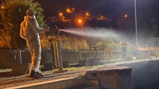 Tuncelide kene ve zararlı parazitlere karşı etkin mücadele sürüyor