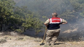 Tuncelide otluk ve ormanlık alanda yangın