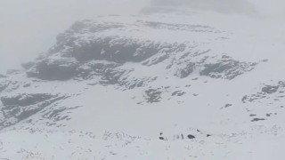 Tuncelili yaylacılar Erzurumda kara yakalandı