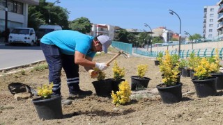 Turgutlu Belediyesi Park ve Bahçeler Müdürlüğü ekipleri kenti güzelleştiriyor