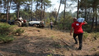 Türk Kızılaydan orman yangını olan bölgelere yardım