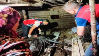 Türkelide ahır çöktü, büyükbaş hayvan kurtarıldı