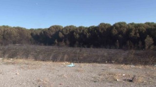 Tuzlada otluk alanda çıkan yangın ormana sıçramadan söndürüldü