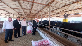 TZOB Başkanı Bayraktar: Bu yıl görülen şap virüsü daha ölümcül ve tehlikeli boyutta seyrediyor