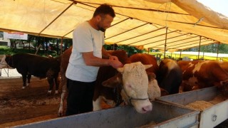 Ülke genelinde tüm hayvan pazarları kapatıldı