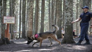 Uludağın ormanlarında jandarmadan 24 saat motorize devriye