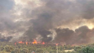 Uşakta devam eden orman yangınında hem tahliyeler hem de müdahale devam ediyor