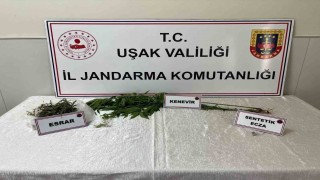 Uşakta jandarma ekiplerince uyuşturucu operasyonu