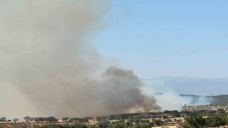 Uşakta meşelik alanda yangın çıktı