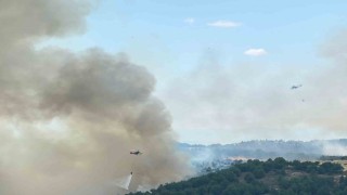 Uşakta ormanlık alanda çıkan yangına müdahale devam ediyor