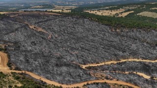 Uşakta yanan ormanlık alan havadan görüntülendi