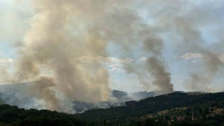 Uşaktaki orman yangınına havadan ve karadan müdahale devam ediyor
