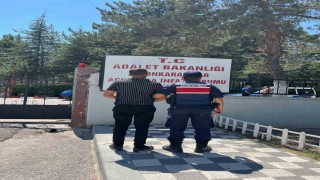 Uyuşturucu ticareti suçundan aranan şahsı jandarma yakaladı