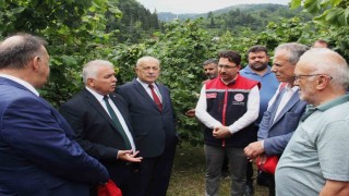 Vali bile bahçeye inmeyen fındık üreticisine sitem etti
