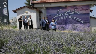 Vali Musa Işından Mutfak Sanatları Müzesi ve Lavanta Bahçesine ziyaret