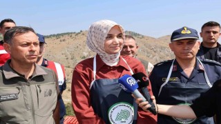 Vali Yiğitbaşı: Kenelere karşı keklik timi görevde