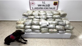 Vanda 70 kilo skunk madde ele geçirildi