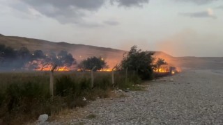 Vanda ağaçlık alanda yangın