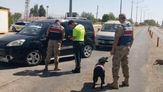 Vanda farklı suçlardan aranan 20 kişi tutuklandı