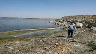 Vanda kent zararlılarına karşı ilaçlama çalışması